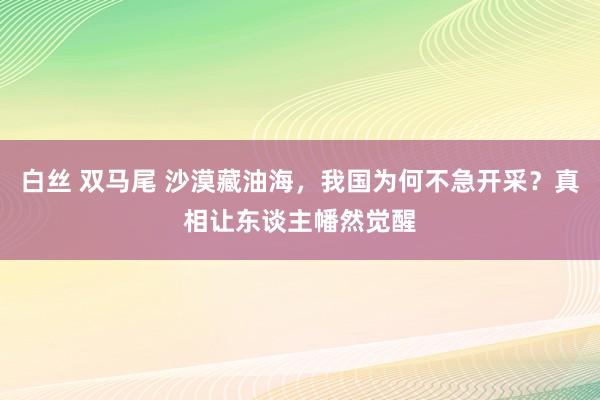 白丝 双马尾 沙漠藏油海,我国为何不急开采?真相让东谈主幡然觉醒