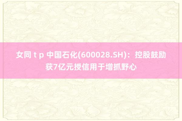 女同 t p 中国石化(600028.SH):控股鼓励获7亿元授信用于增抓野心