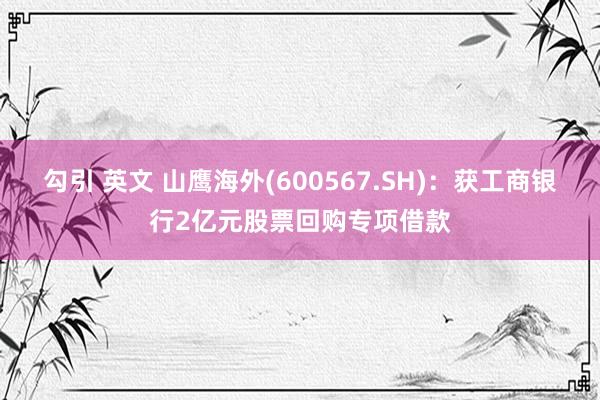 勾引 英文 山鹰海外(600567.SH):获工商银行2亿元股票回购专项借款