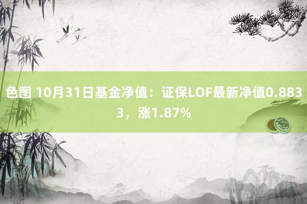 色图 10月31日基金净值:证保LOF最新净值0.8833,涨1.87%