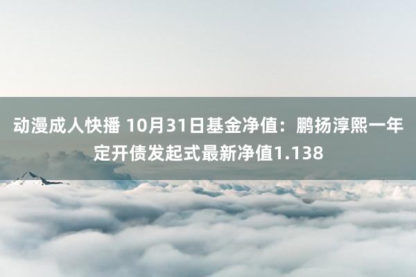 动漫成人快播 10月31日基金净值:鹏扬淳熙一年定开债发起式最新净值1.138