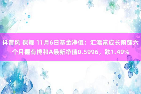抖音风 裸舞 11月6日基金净值:汇添富成长前锋六个月握有搀和A最新净值0.5996,跌1.49%