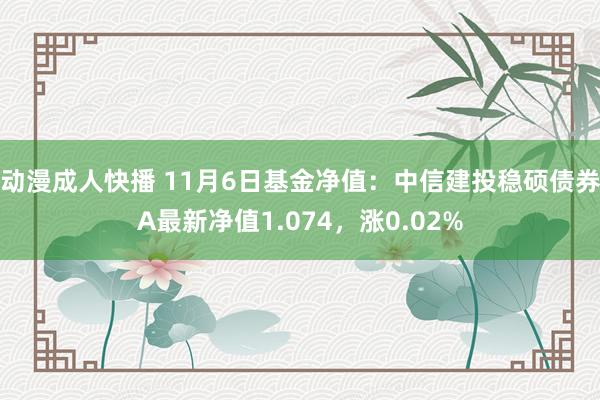 动漫成人快播 11月6日基金净值:中信建投稳硕债券A最新净值1.074,涨0.02%
