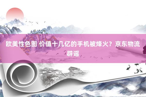 欧美性色图 价值十几亿的手机被烽火?京东物流辟谣