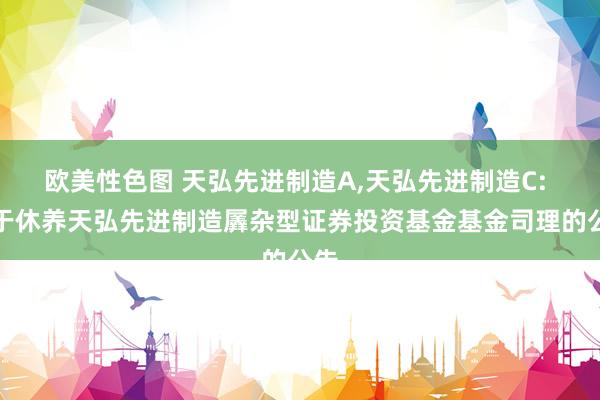 欧美性色图 天弘先进制造A,天弘先进制造C: 对于休养天弘先进制造羼杂型证券投资基金基金司理的公告