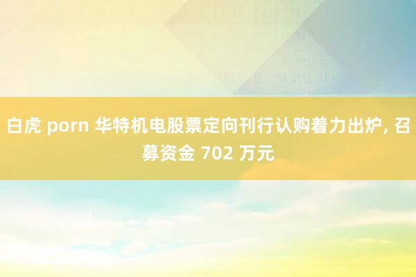白虎 porn 华特机电股票定向刊行认购着力出炉, 召募资金 702 万元
