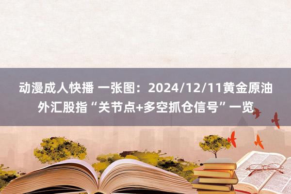 动漫成人快播 一张图:2024/12/11黄金原油外汇股指“关节点+多空抓仓信号”一览