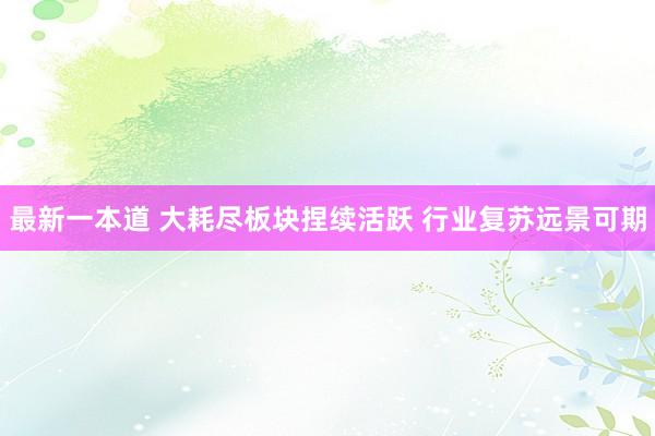 最新一本道 大耗尽板块捏续活跃 行业复苏远景可期