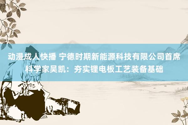 动漫成人快播 宁德时期新能源科技有限公司首席科学家吴凯：夯实锂电板工艺装备基础