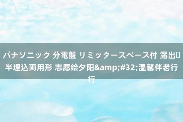 パナソニック 分電盤 リミッタースペース付 露出・半埋込両用形 志愿绘夕阳 温馨伴老行