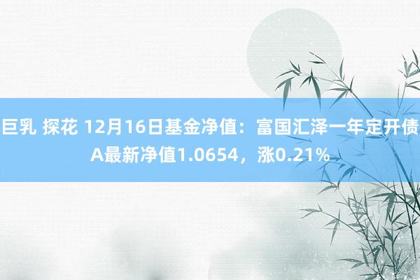 巨乳 探花 12月16日基金净值:富国汇泽一年定开债A最新净值1.0654,涨0.21%