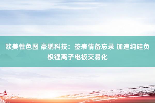欧美性色图 豪鹏科技:签表情备忘录 加速纯硅负极锂离子电板交易化
