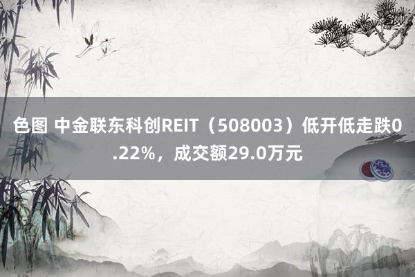 色图 中金联东科创REIT（508003）低开低走跌0.22%，成交额29.0万元