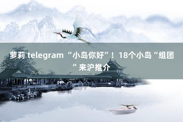 萝莉 telegram “小岛你好”!18个小岛“组团”来沪推介