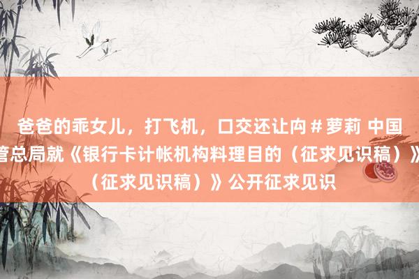 爸爸的乖女儿，打飞机，口交还让禸＃萝莉 中国央行、金融监管总局就《银行卡计帐机构料理目的（征求见识稿）》公开征求见识