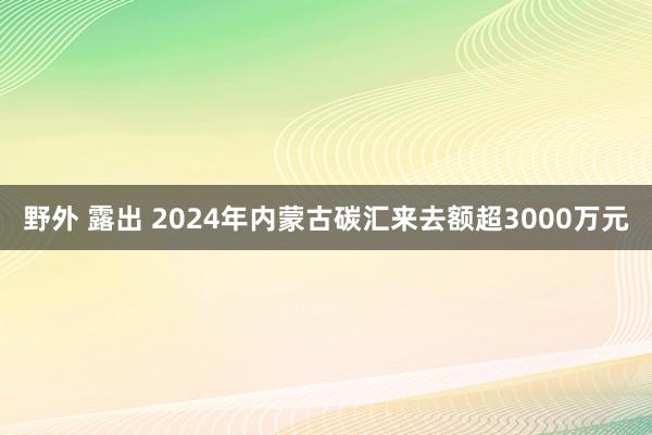 野外 露出 2024年内蒙古碳汇来去额超3000万元