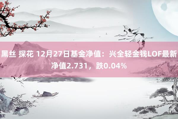黑丝 探花 12月27日基金净值:兴全轻金钱LOF最新净值2.731,跌0.04%