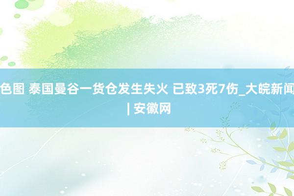 色图 泰国曼谷一货仓发生失火 已致3死7伤_大皖新闻 | 安徽网