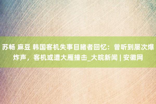 苏畅 麻豆 韩国客机失事目睹者回忆：曾听到屡次爆炸声，客机或遭大雁撞击_大皖新闻 | 安徽网