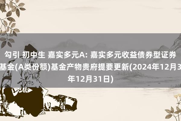 勾引 初中生 嘉实多元A: 嘉实多元收益债券型证券投资基金(A类份额)基金产物贵府提要更新(2024年12月31日)