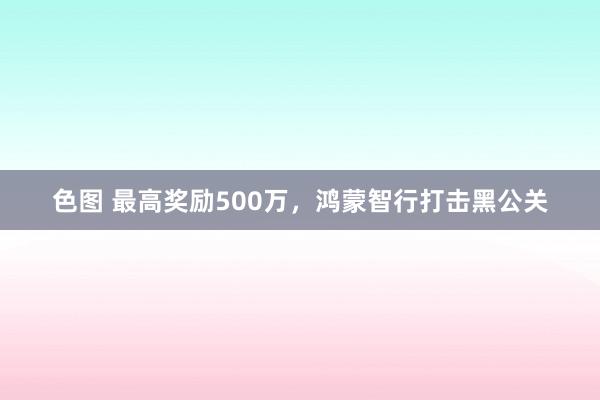 色图 最高奖励500万,鸿蒙智行打击黑公关
