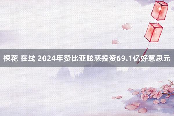 探花 在线 2024年赞比亚眩惑投资69.1亿好意思元