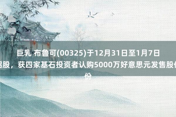 巨乳 布鲁可(00325)于12月31日至1月7日招股，获四家基石投资者认购5000万好意思元发售股份