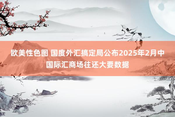 欧美性色图 国度外汇搞定局公布2025年2月中国际汇商场往还大要数据