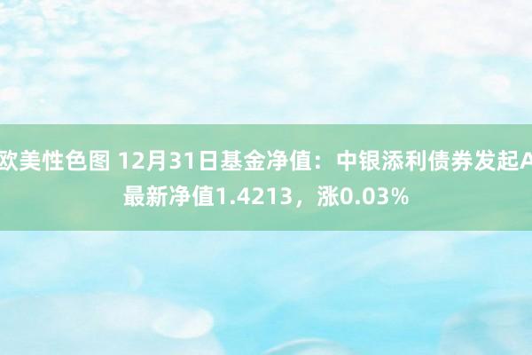 欧美性色图 12月31日基金净值:中银添利债券发起A最新净值1.4213,涨0.03%