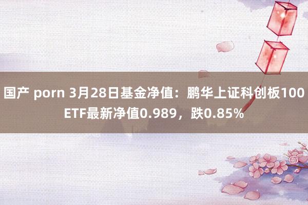 国产 porn 3月28日基金净值:鹏华上证科创板100ETF最新净值0.989,跌0.85%